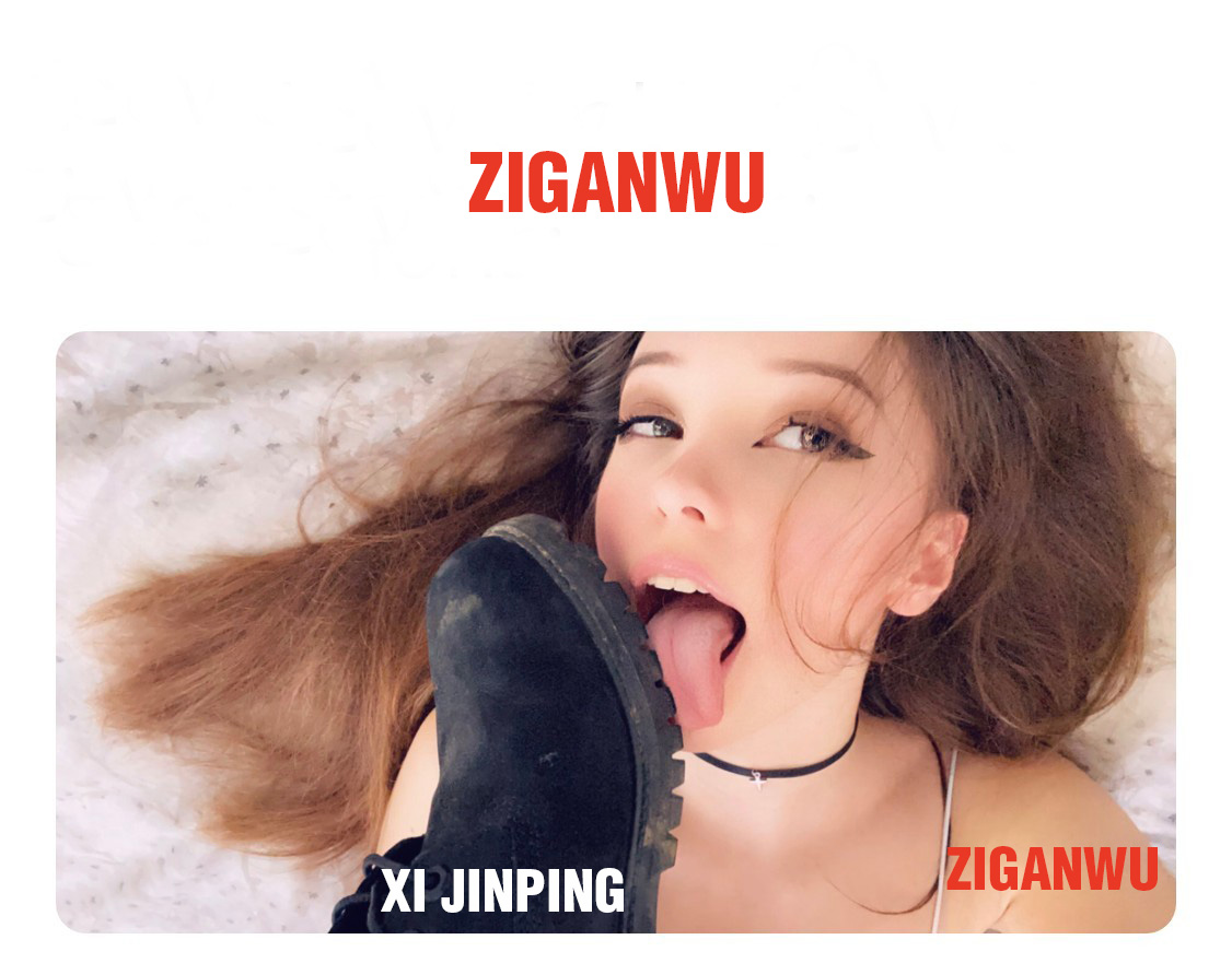 ziganwu blogeros chinos