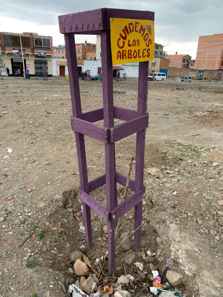 Árboles rotos en El Alto