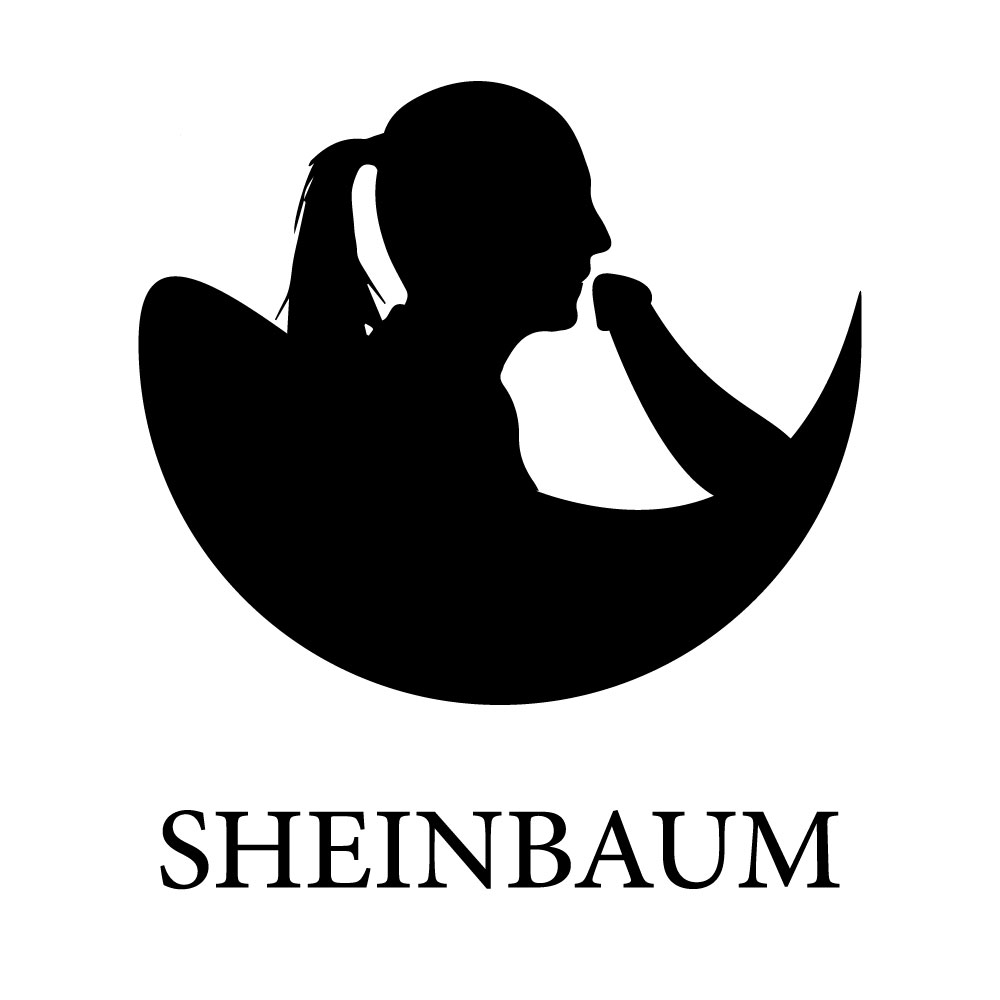 Logo Sheinbaum México
